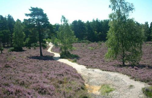 Cozy Cottage Retreat in Surrey Hills - Foto 9