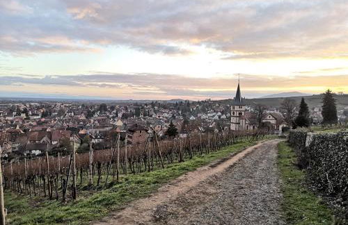 Zum Storike Nescht - Photo 46