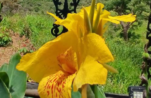 Eco Pousada Por do Sol - Foto 32