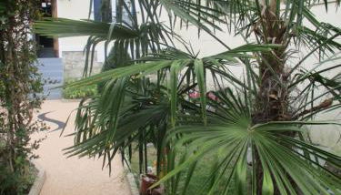 Côté Marne - Foto 4, Garden