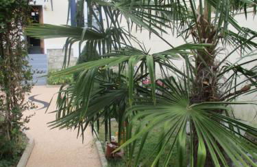 Côté Marne - Foto 4