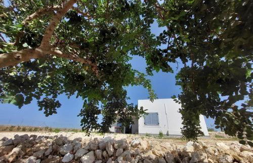 Casa Palombara - Healiday in Torre Salsa - Foto 57