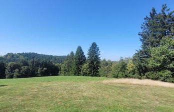 Maria Altreichenau - Foto 65