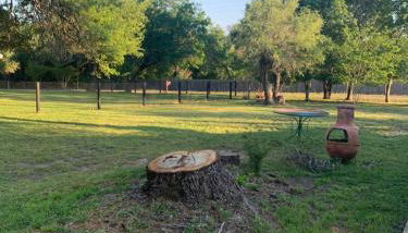 Live Oak Home - Foto 4