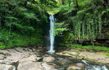 Bronfelin & Troed-y-rhiw Holiday Cottages - Foto 52
