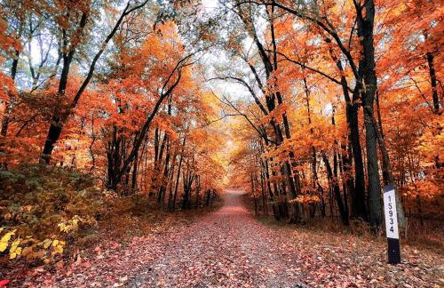 Private Wooded Escape Hot Tub Quiet Seclusion Fire Pit Games - Foto 7