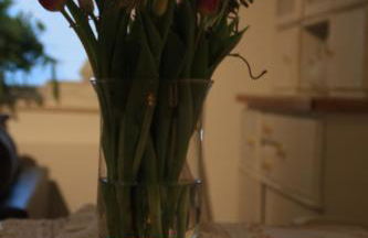 Gemütliche Ferienwohnung in Edesheim an der Weinstraße - Foto 16