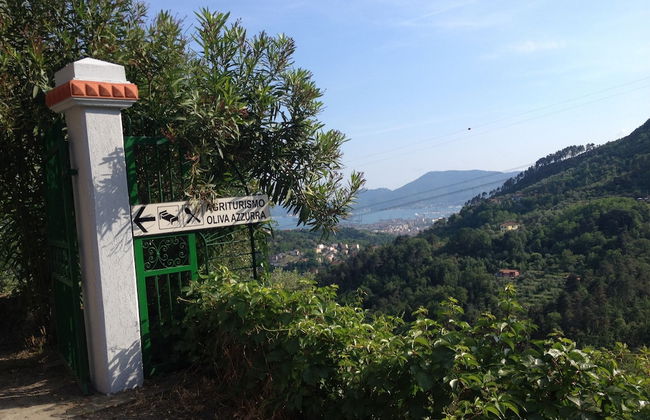 Oliva Azzurra - Foto 31