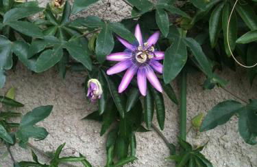 Ferienwohnung Laßmann - Foto 18