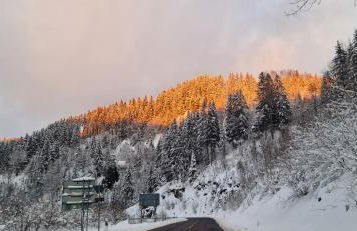 Ferienwohnung Schwarzer Hirsch - Foto 26