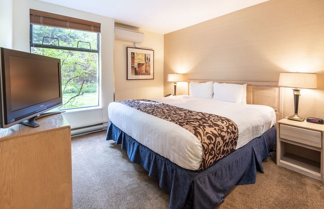 The Ironwood - Foto 3