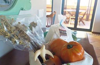 Big Fish 1 - Charming Beach Apartment - Foto 53