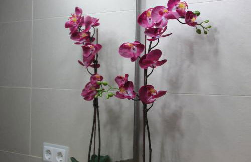 Apartaments y Habitacions Entre Volcans - Foto 51