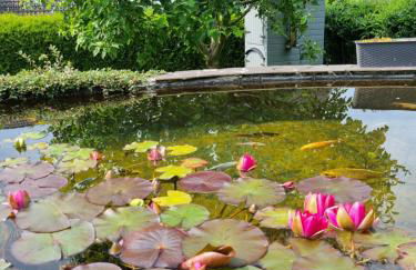 Ferienwohnung Lolek - Foto 30