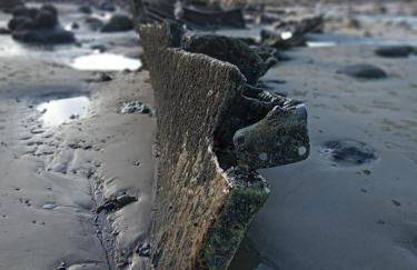 Driftwood Cottage Holme next the sea pets go free - Foto 63