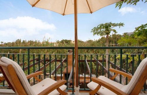 Energia Dourada - Porto Santo - Foto 3