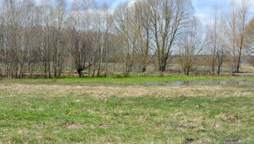 Ciche Podlasie - Foto 2, Garden, Garden view