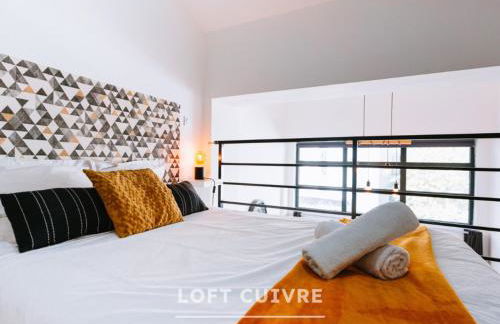 Les Lofts Stéphanois - Au cœur de Sainte-Etienne - Foto 15