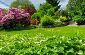 Maries bunte Villa - Foto 26