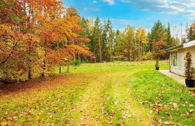 4 Person Holiday Home in Ans By-by Traum - Photo 33