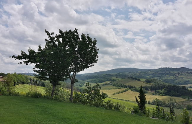 Poderi Arcangelo - Photo 56