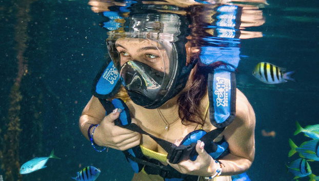 Xel-Há Natural Park Day Trip - Foto 4