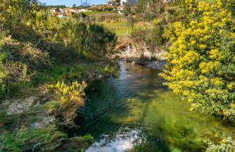 Casa da Oliveira, Aradas, Pampilhosa da Serra, Wifi, Ar Condicionado, Churrasqueira, Parqueamento, by IG - Foto 46