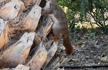 Modern apartment sea view with private jacuzzi - Photo 57