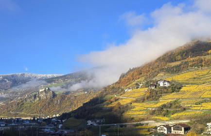 Martscholer Weinhof - Photo 24