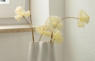 Hinterhof-Juwel mit Küche und Smart-TV - Photo 11