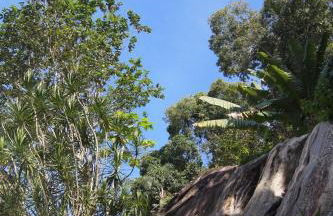 Paraiso de Angra Casa completa no condomio Marinas - Foto 36