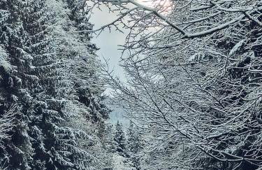 Beskid House Kurów - Foto 73