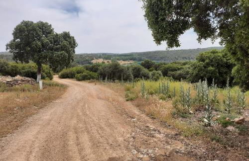 La Cachumba - Foto 23