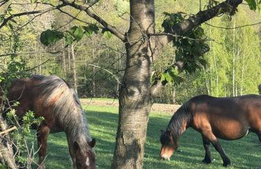 Górska Otulina - Foto 27