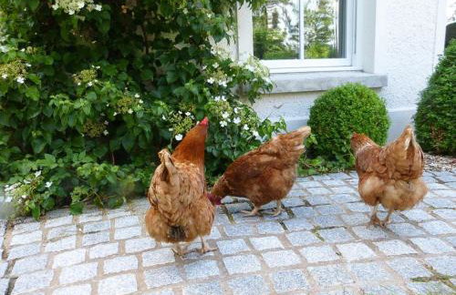 Blackberry Loft - a Hidden Gem - Foto 34