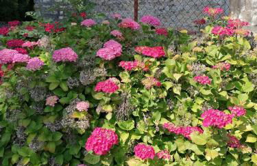 Maison renovee en pierres séjour spacieux avec jardin et terrasse aménagée près Omaha beach & Bayeux à 5mn de la mer tous commerces - Foto 35