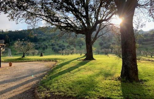 Podere Montaione - Foto 4