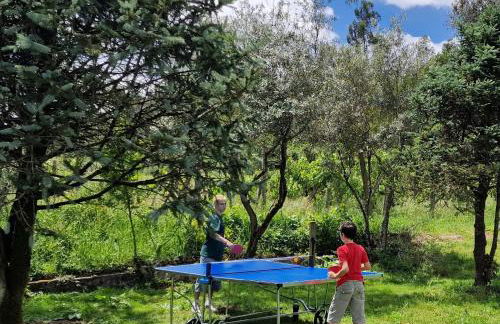 Dream corner by waterfalls, 20 min to Oporto, by Porto with Love LDA - Foto 35