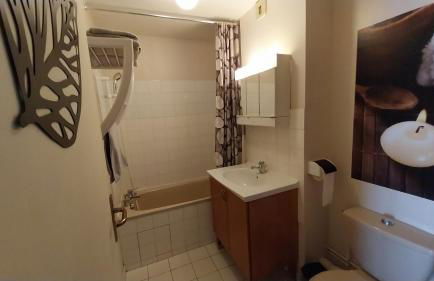 Meublé de tourisme 2* les Jardins de l Arquebuse - Foto 8