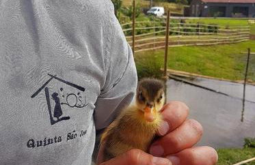 Quinta de São José - Foto 26