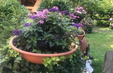 Villa I Parioli - Foto 8