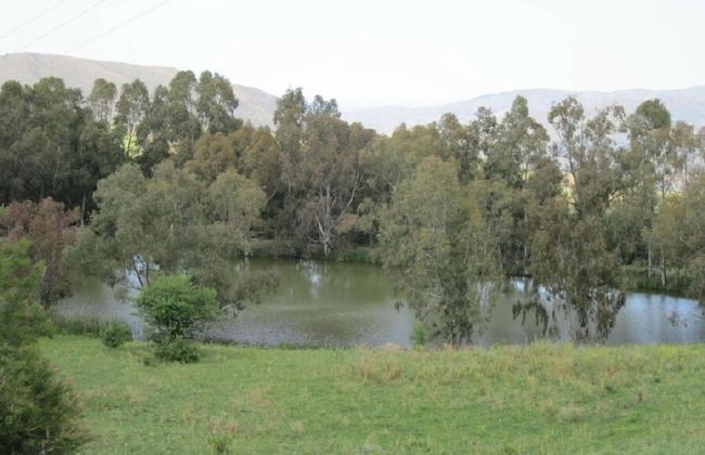 Fontanarossa - Foto 21