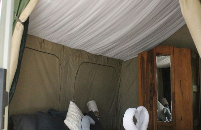 Teniqua Treetops - Foto 17