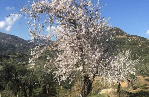 Agriturismo Su Barraccu - Foto 35