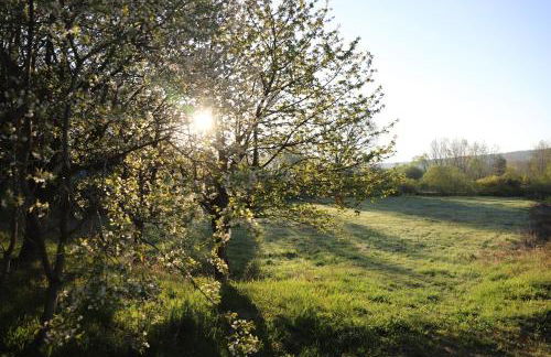 Gästehaus Roensch - Foto 32