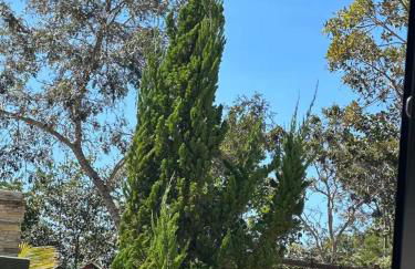 Lindo Sítio Estilo Moderno - Foto 55