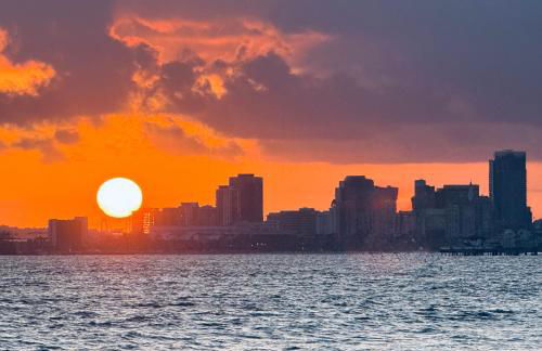 Ocean Views in Long Beach - Foto 66