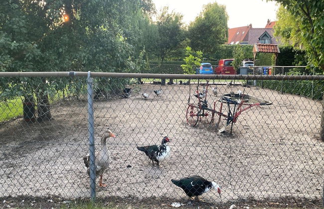 Cozy Holiday Home in Bergen op Zoom With Garden - Foto 41