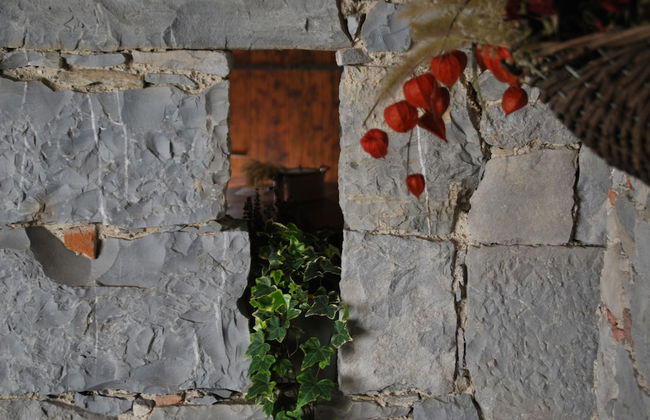 Affittacamere Valnascosta - Foto 69