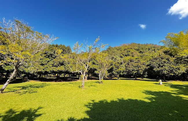 Casa Mangostan - Foto 9